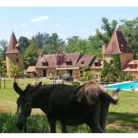 Mobil-home Du Lot Dordogne Kamp alanı *