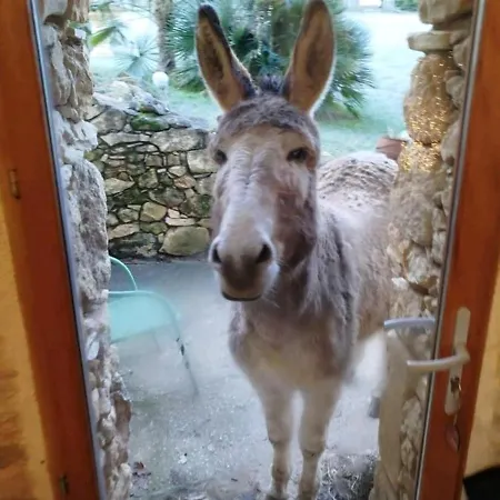 Mobil-home Du Lot Dordogne Kamp alanı *