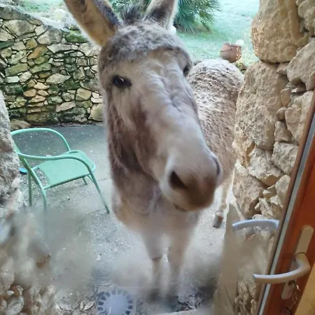 Mobil-home Du Lot Dordogne Kamp alanı Milhac